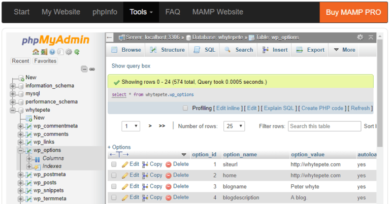 aws postgresql load file powrershell