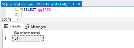 View own SPID SQL Server