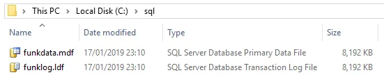 sql database files (mdf and ldf)