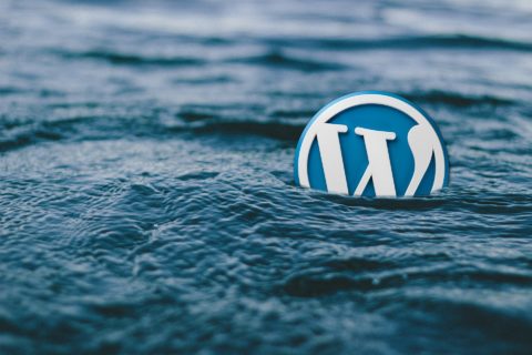 WordPress Logo in Water