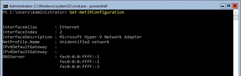 PowerShell Get-NetIPConfiguration