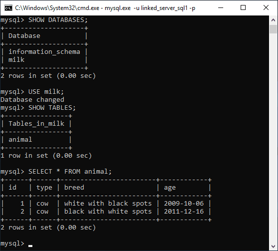 mysql grant user access to database workbench