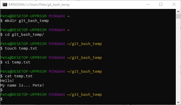 Git Bash Play