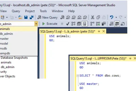 SQL Use Database Example