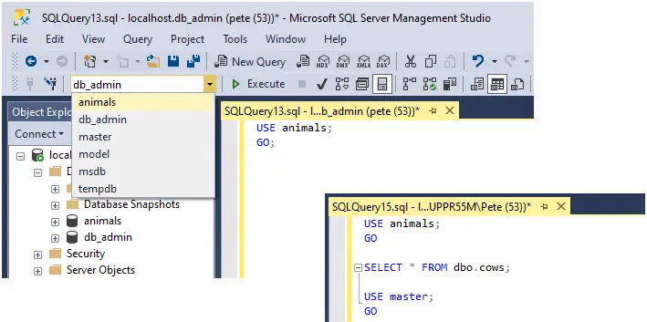 USE Command in SQL Server
