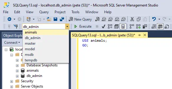 Use Database SQL