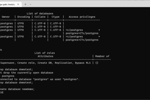 Install Postgres on Ubuntu in WSL