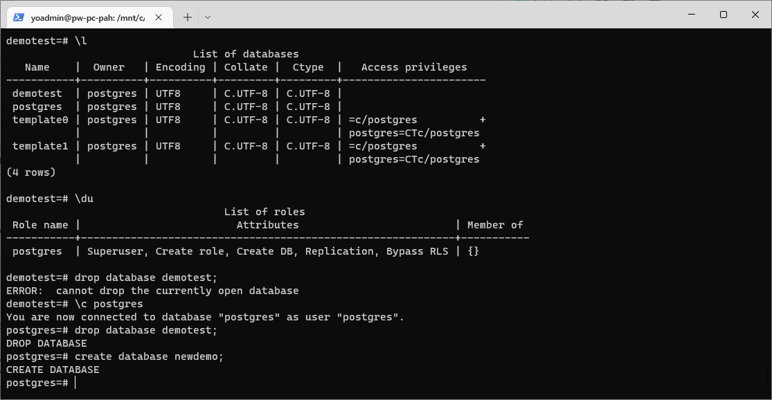 How to Install Postgres on Ubuntu 20.04 in WSL