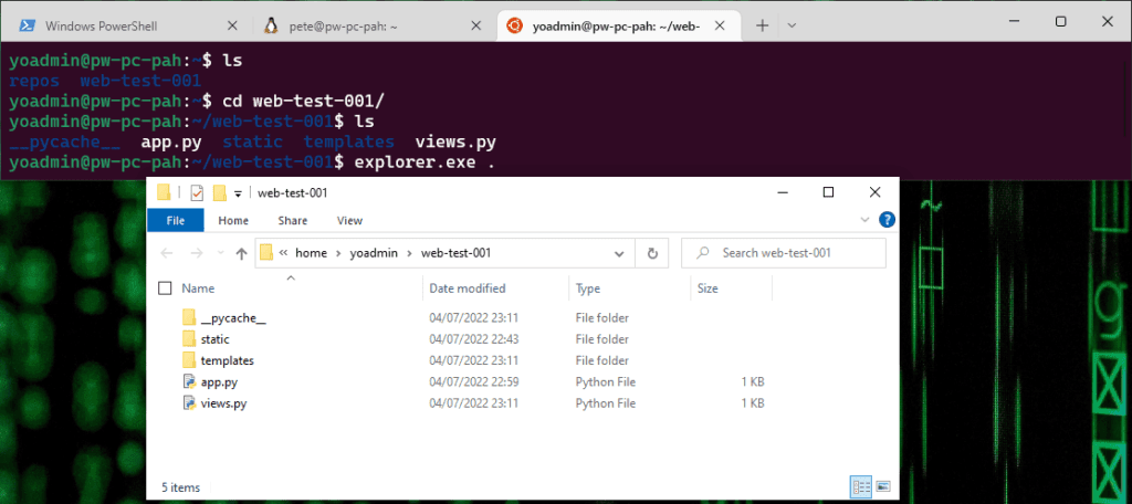 WSL Ubuntu