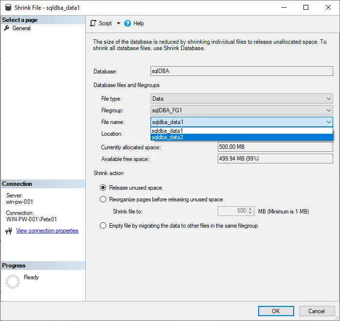 SQL Server Shrink Databases